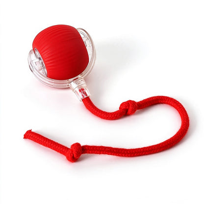 🔥 FINAL WEEK! Buy 1, Get 1 FREE! 🔥 Limited Stock! 🐾 Solutiover Electric Rolling Pet Toy Ball