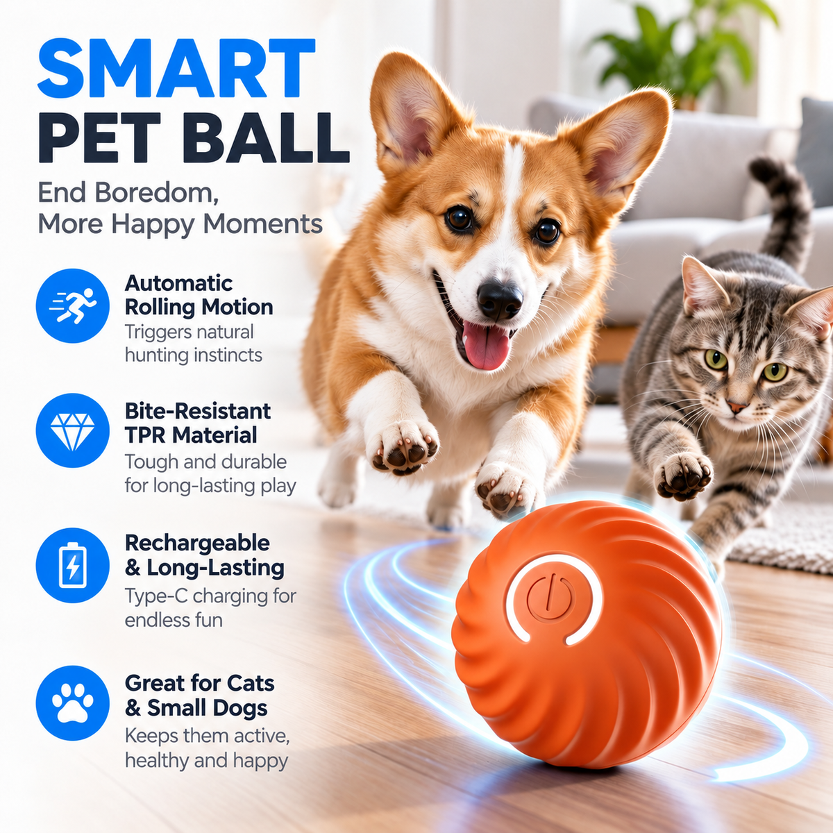 🔥 FINAL WEEK! Buy 1, Get 1 FREE! 🔥 Limited Stock! 🐾 Solutiover Electric Rolling Pet Toy Ball