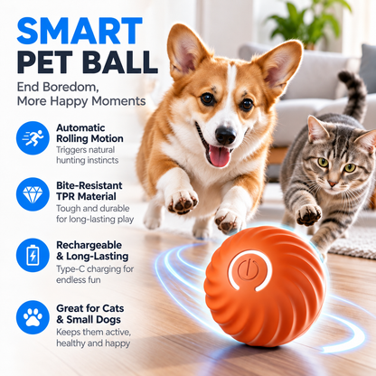 🔥 FINAL WEEK! Buy 1, Get 1 FREE! 🔥 Limited Stock! 🐾 Solutiover Electric Rolling Pet Toy Ball
