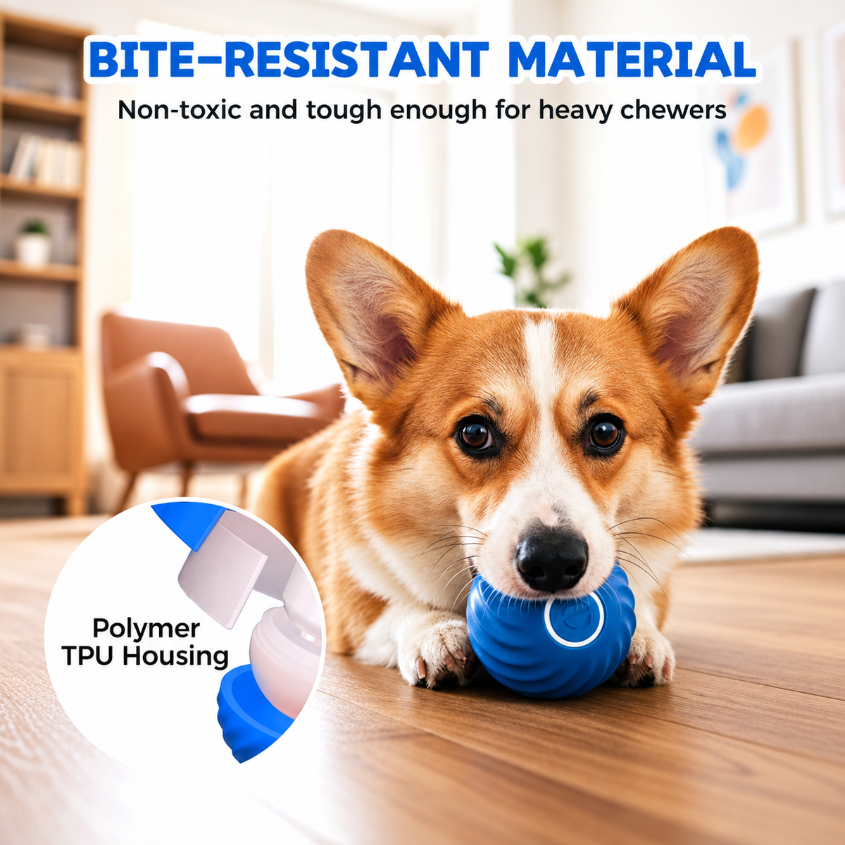 🔥 FINAL WEEK! Buy 1, Get 1 FREE! 🔥 Limited Stock! 🐾 Solutiover Electric Rolling Pet Toy Ball