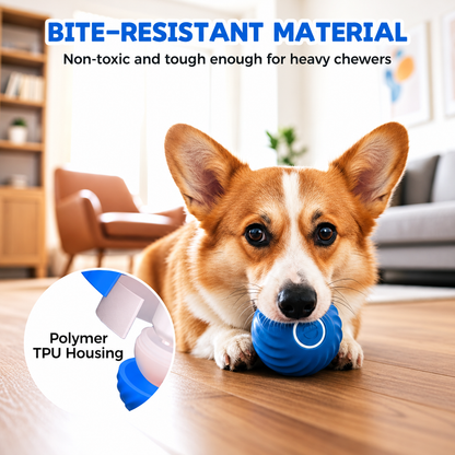🔥 FINAL WEEK! Buy 1, Get 1 FREE! 🔥 Limited Stock! 🐾 Solutiover Electric Rolling Pet Toy Ball