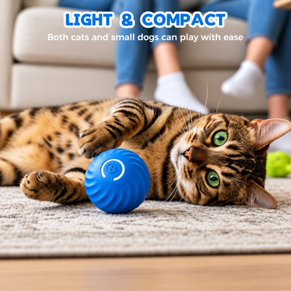 🔥 FINAL WEEK! Buy 1, Get 1 FREE! 🔥 Limited Stock! 🐾 Solutiover Electric Rolling Pet Toy Ball