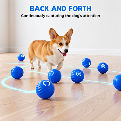 🔥 FINAL WEEK! Buy 1, Get 1 FREE! 🔥 Limited Stock! 🐾 Solutiover Electric Rolling Pet Toy Ball