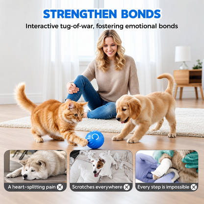 🔥 FINAL WEEK! Buy 1, Get 1 FREE! 🔥 Limited Stock! 🐾 Solutiover Electric Rolling Pet Toy Ball