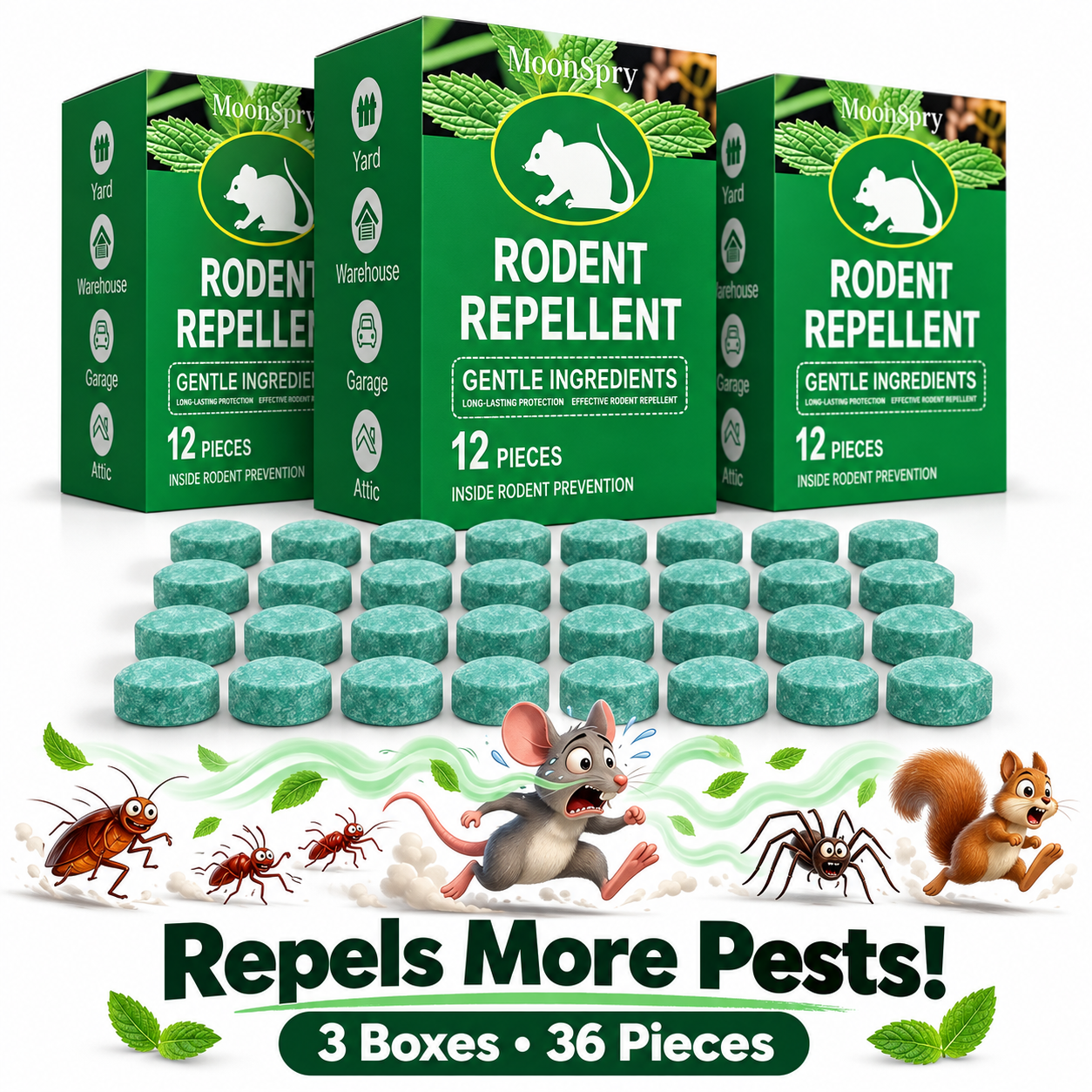 🔥 3 Boxes — Whole House Shield (Most Popular)